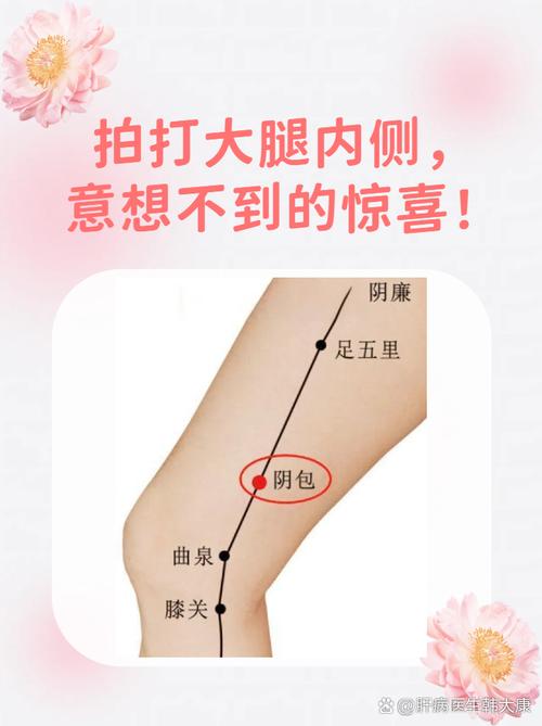 人体大腿有哪些穴位