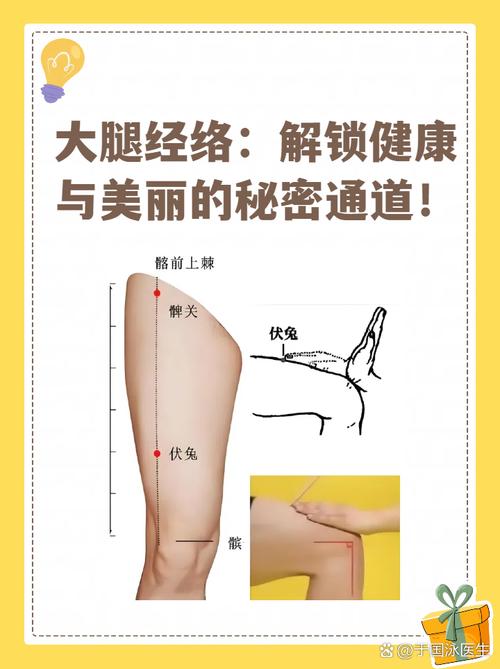 人体大腿有哪些穴位