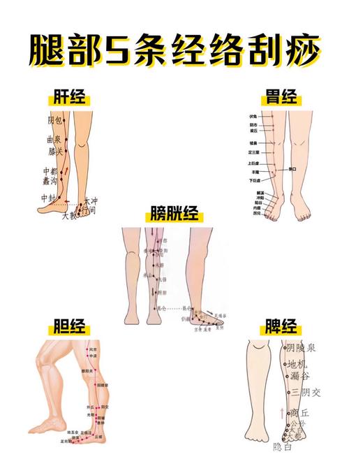 人体大腿有哪些穴位