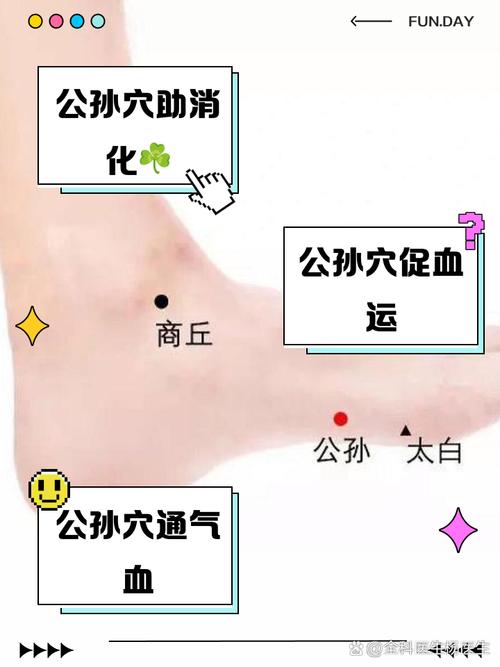 公孙 太白穴位置图