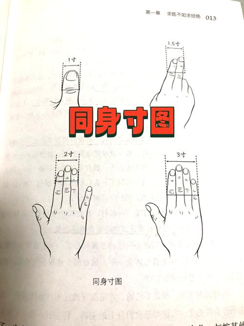 穴位寸的丈量同身寸
