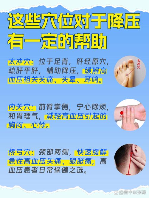 人体穴位降低高血压