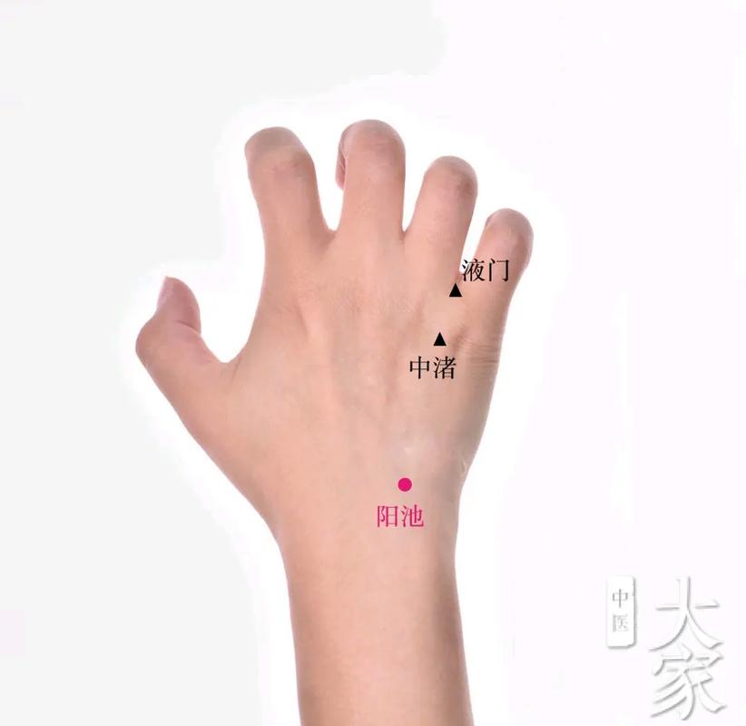 手腕背面有哪些穴位