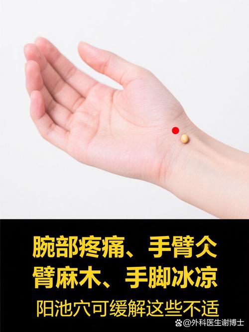 手腕背面有哪些穴位