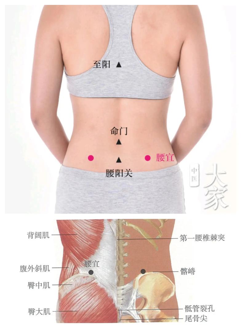 艾灸后背腰疼的穴位