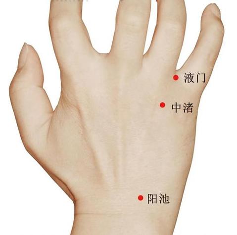 左边牙疼按什么穴位