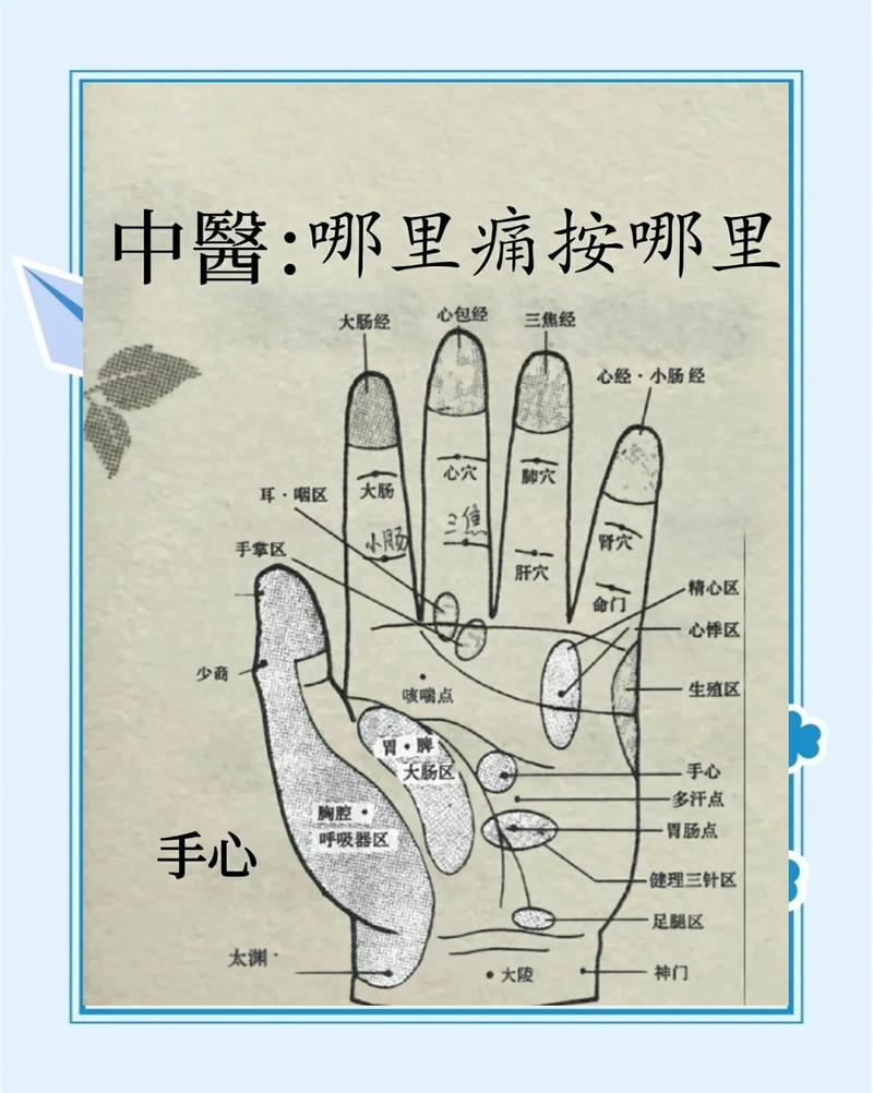 右手手心有什么穴位