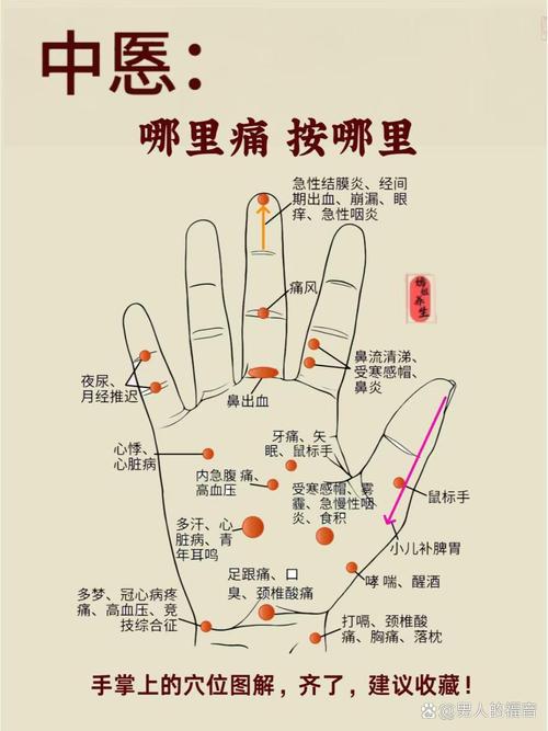 右手手心有什么穴位