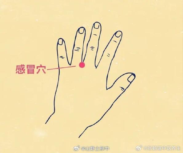 按摩什么穴位抗感冒