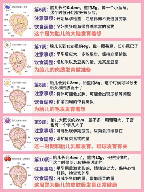 怀孕两个月注意的饮食