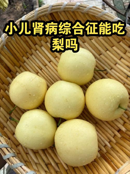 小儿肾病综合征的饮食