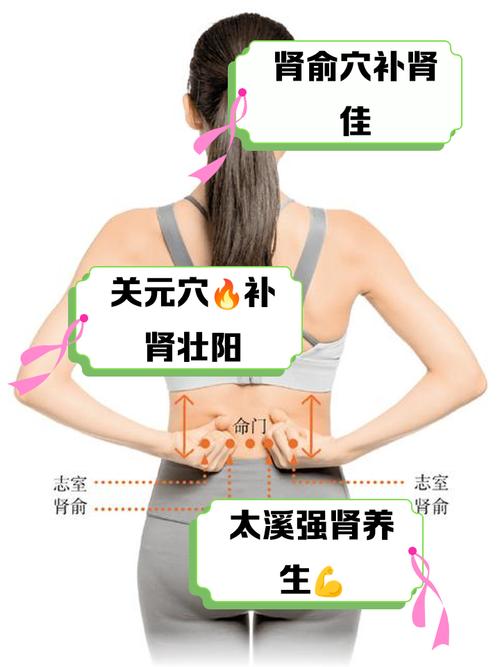 艾灸什么穴位补肾气