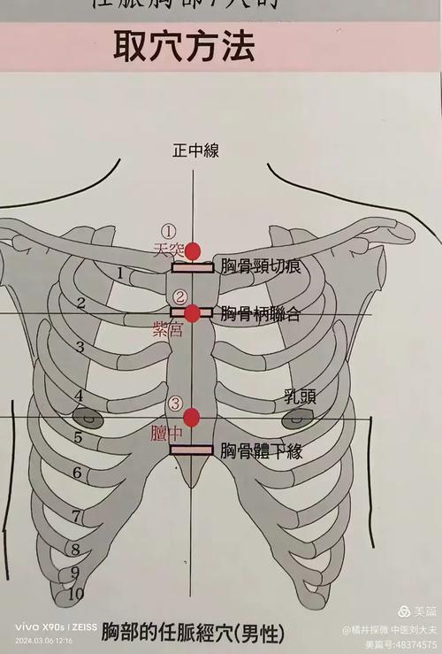 哪个穴位可以管心脏