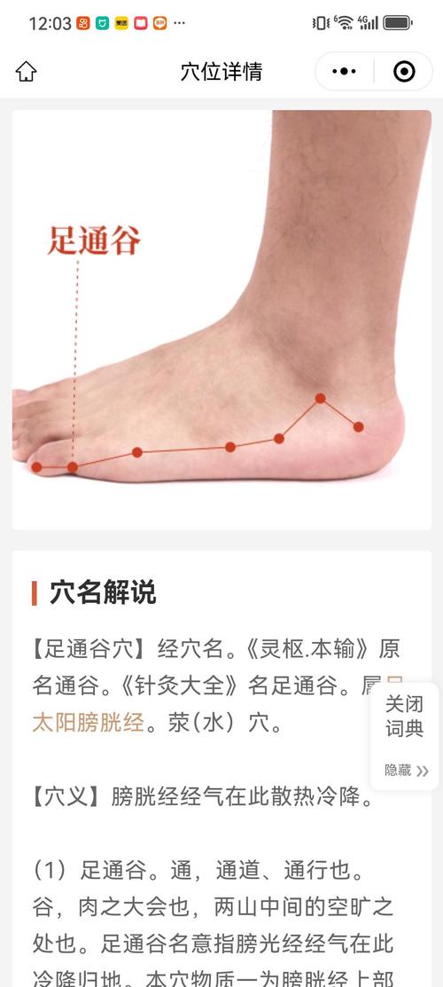 针对关节保护的穴位