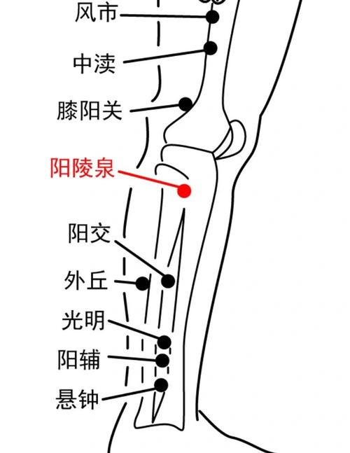 针对关节保护的穴位