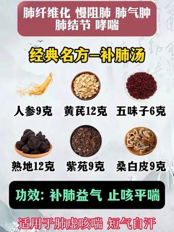 肺大泡的中医治疗方剂