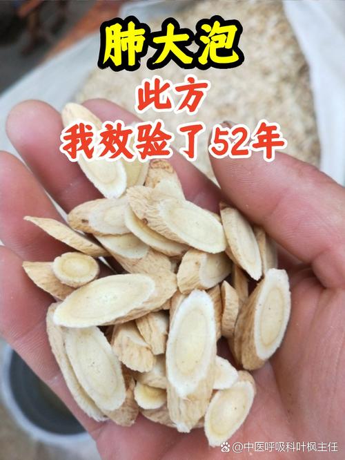肺大泡的中医治疗方剂