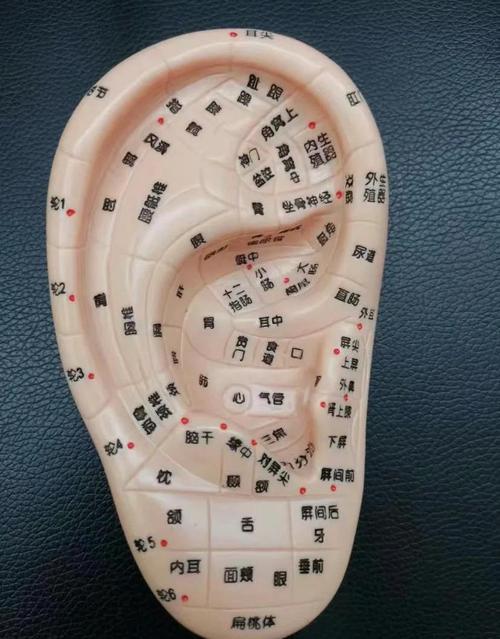 耳膜发炎按什么穴位