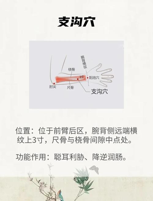 小儿便秘贴什么穴位